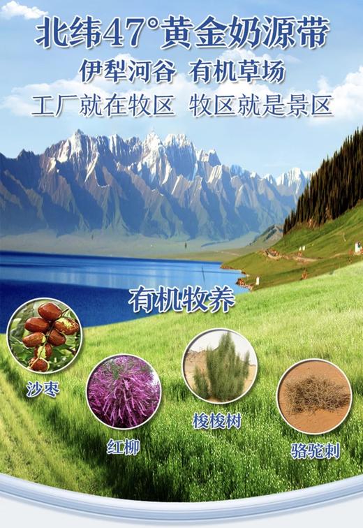 团结牌有机纯驼乳粉 商品图6