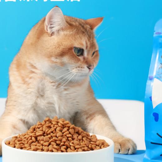 麦斯蒂猫粮全价增肥深海鱼鸡肉营养发腮成幼猫粮500g/袋 商品图3