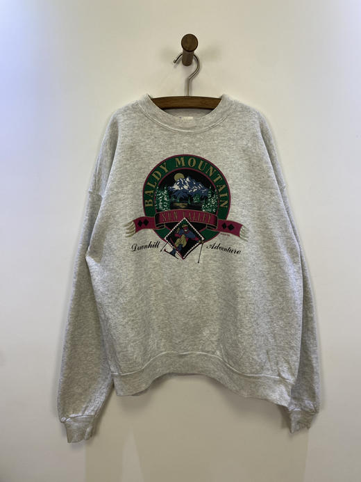 90年代 Vintage  Hanes 美国制 卫衣 _SLSS(XL) 商品图1