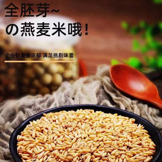 （乡村振兴商品）咸丰土家燕麦米 商品图2