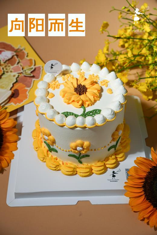 向阳而生 商品图3