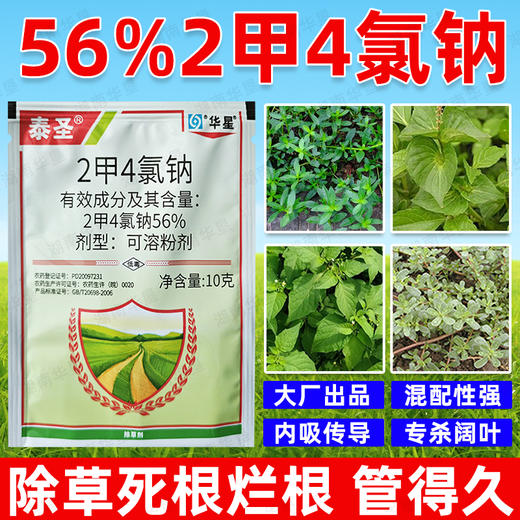 56%2甲4氯钠二甲四氯钠水稻小麦玉米地水花生节节草专用除草剂 商品图4