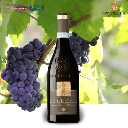 欧德罗庄园凯蒂白葡萄酒13%vol 750ml/6瓶/箱【年份较大 介意慎拍】 商品图0