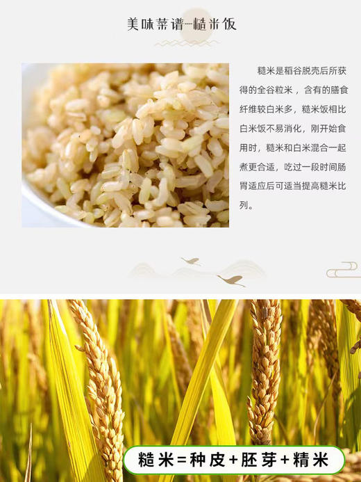 （乡村振兴商品）咸丰土家糙米 商品图4