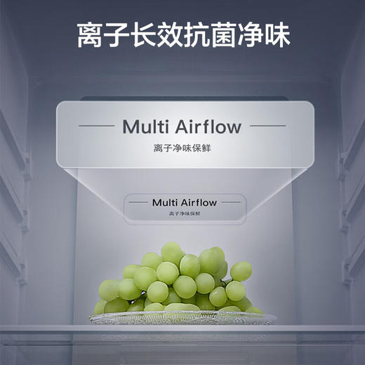 格力（GREE）晶弘 303升变频风冷多门电冰箱- 33°深冻锁鲜 智能独立调湿 离子净味 BCD-303WPFCZ/羽墨灰 商品图3