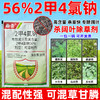 56%2甲4氯钠二甲四氯钠水稻小麦玉米地水花生节节草专用除草剂 商品缩略图2