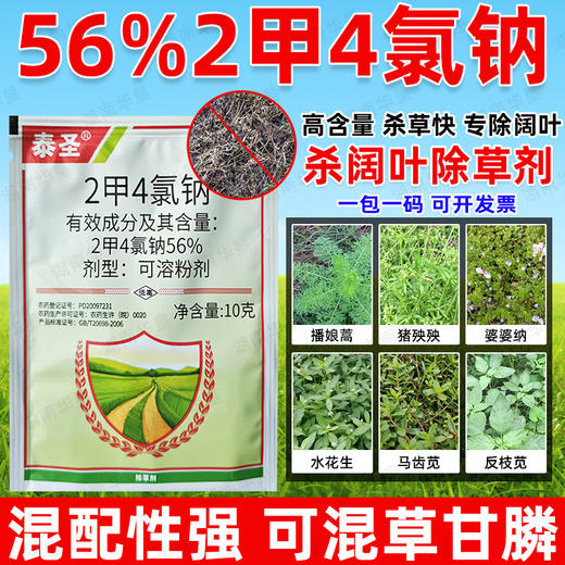 56%2甲4氯钠二甲四氯钠水稻小麦玉米地水花生节节草专用除草剂 商品图2