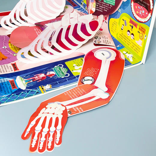 《好玩大科普系列：人体大探秘》 商品图6