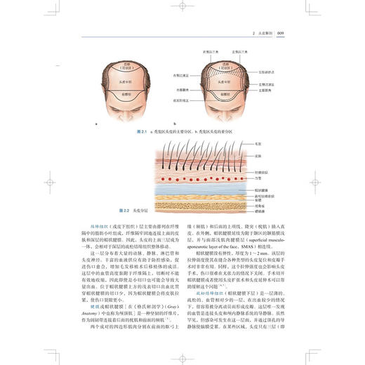 毛发移植 第6版 吴文育等译 植发最新技术与方法多相自动化选项改进的打孔设计和先进的钻取设备 上海科学技术出版社9787547866245 商品图4