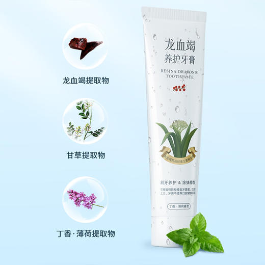 大唐汉方龙血竭养护牙膏 汉方本草 健康亮白洁齿护龈 丁香薄荷香型口齿清新 120g/支 商品图1