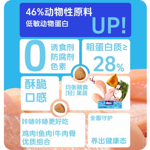 麦斯蒂猫粮全价增肥深海鱼鸡肉营养发腮成幼猫粮500g/袋 商品图1