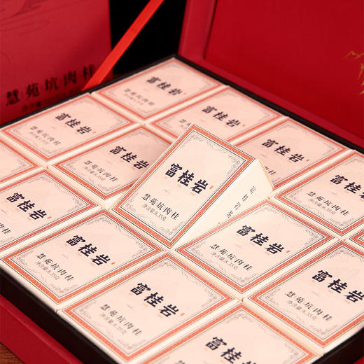 压箱底 富桂岩茶  慧苑坑肉桂 武夷岩茶 125g（15泡） 商品图2