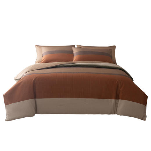 （分两个包裹发货）外交官  拉杆箱（20英寸+扩充层）+BOSS玄武岩贡缎印花四件套 商品图3