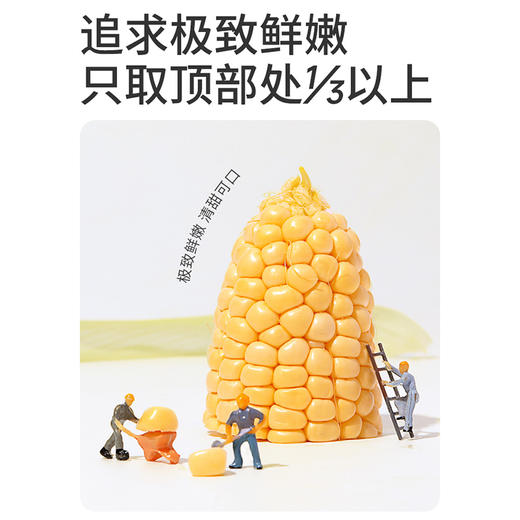 伊威优勄爱无麸质脱皮玉米50g 商品图5