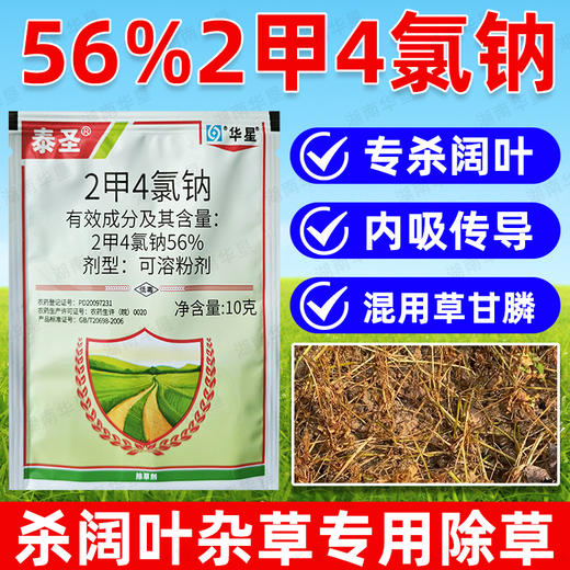 56%2甲4氯钠二甲四氯钠水稻小麦玉米地水花生节节草专用除草剂 商品图3