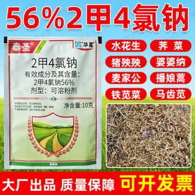 56%2甲4氯钠二甲四氯钠水稻小麦玉米地水花生节节草专用除草剂