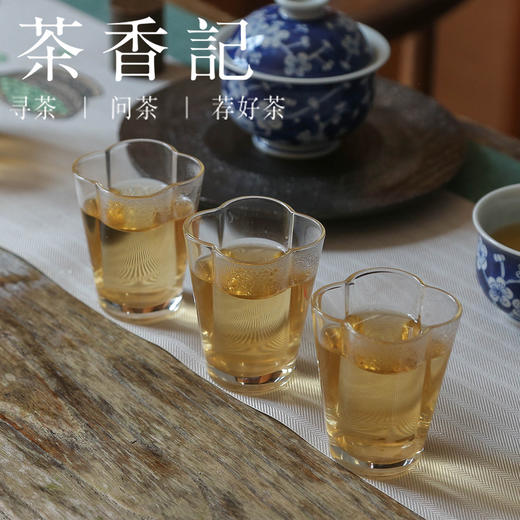 茶香记 香枣片片老白茶017  “口袋茶”   一泡一片 甘醇清甜 可泡可闷可煮 商品图5