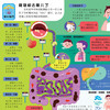 《好玩大科普系列：人体大探秘》 商品缩略图8