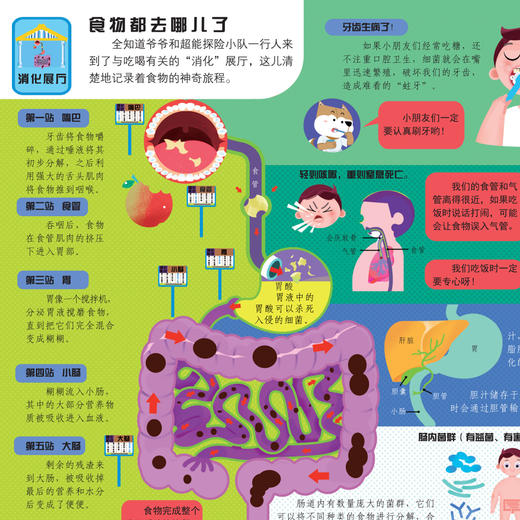 《好玩大科普系列：人体大探秘》 商品图8
