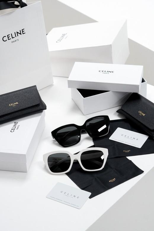 赛琳 凯旋门 经典字母墨镜 太阳镜（AN） 商品图1