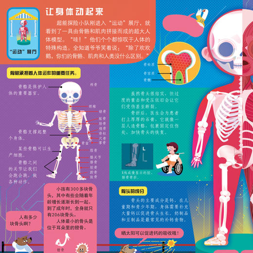 《好玩大科普系列：人体大探秘》 商品图11