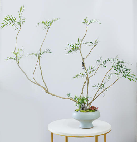 十大功劳 商品图0