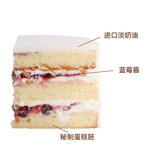 蓝莓花环 商品图3