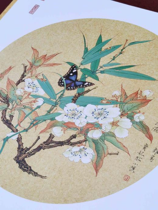 《任重精品花鸟画》，4开，单页，共22页，任重绘，河北教育出版社2013年一版一印，定价198，售价99元。 商品图4