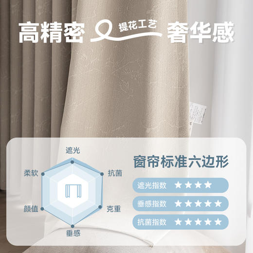 【沁园春月】金蝉轻奢柔滑高精密窗帘 商品图7