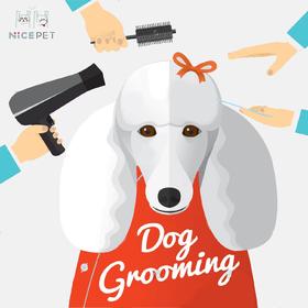 Nice Pet狗狗全身净剃（含洗澡）