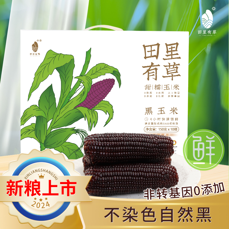田里有草黑玉米含花青素东北甜糯黑玉米低脂健身早餐真空袋装