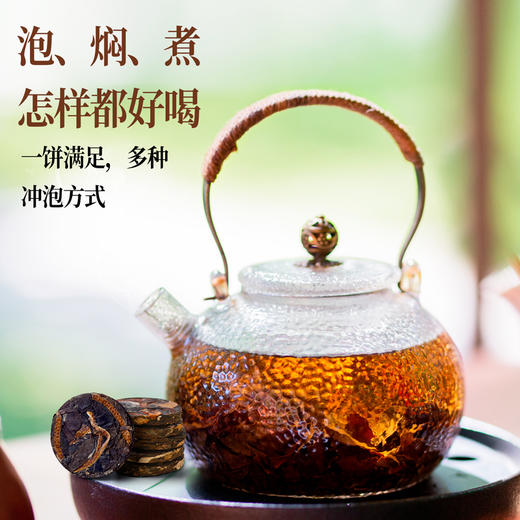 茶人岭陈皮白茶茶饼福鼎寿眉50克 商品图4