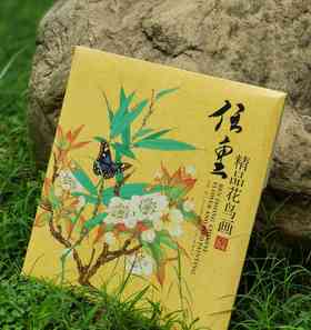 《任重精品花鸟画》，4开，单页，共22页，任重绘，河北教育出版社2013年一版一印，定价198，售价99元。