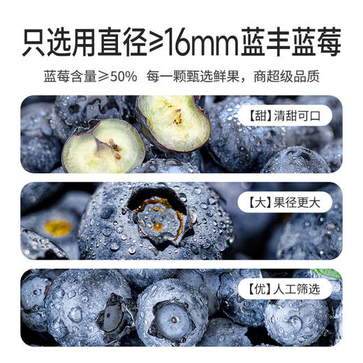 伊威冻干蓝莓奶酪球20g 商品图7