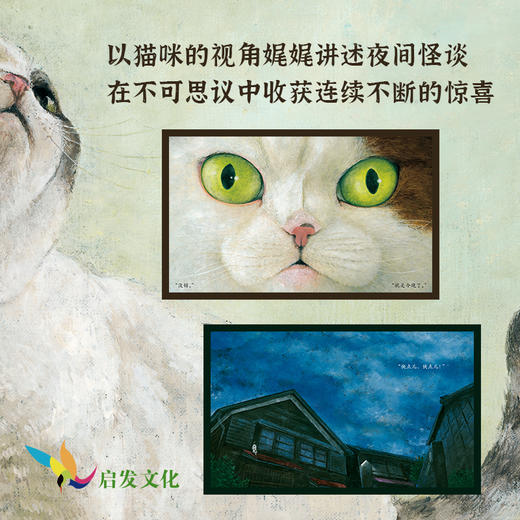 猫爪之夜  猫咪的万般姿态 商品图1