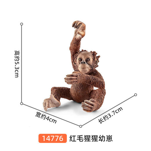 思乐 红毛猩猩幼崽SCHC14776 商品图1