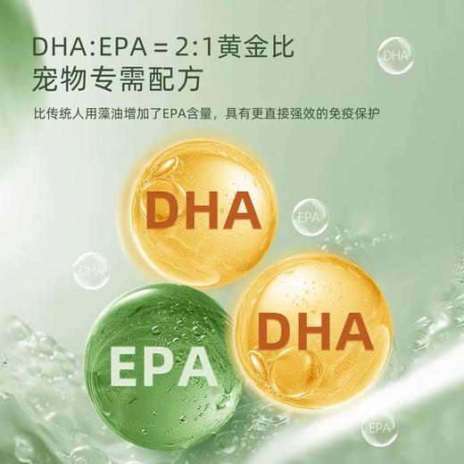 TurnGlad深海浓缩微藻油 猫狗通用 非鱼油无腥味 无污染 进口原料 30粒  补充omega-3 商品图4