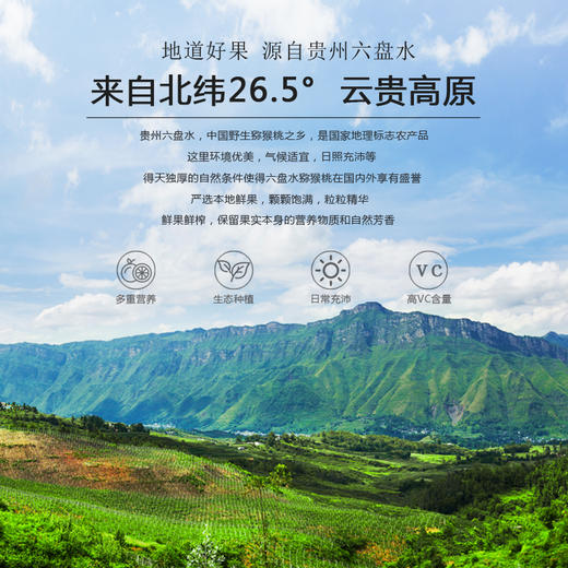 L弥你红猕猴桃原液35ml*10袋 商品图1