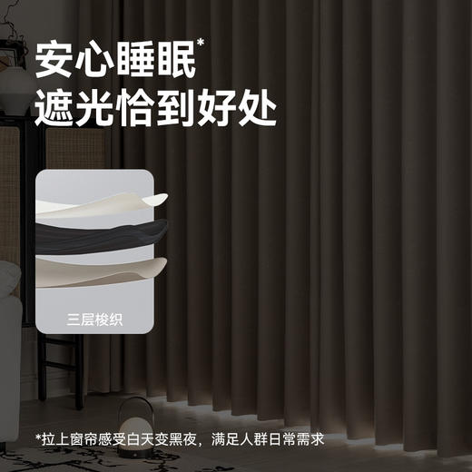 【沁园春月】金蝉轻奢柔滑高精密窗帘 商品图2