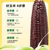 【天然花青素】黑糯玉米220g*8根 商品缩略图3