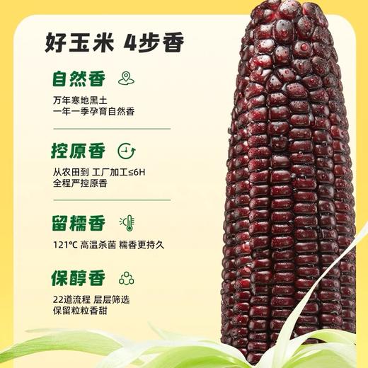 【天然花青素】黑糯玉米220g*8根 商品图3