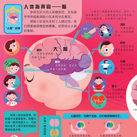 《好玩大科普系列：人体大探秘》 商品图9