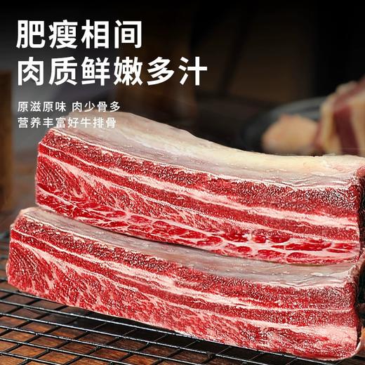 精选草原散养原切四肋牛排2500g家用炖煮食材 商品图2