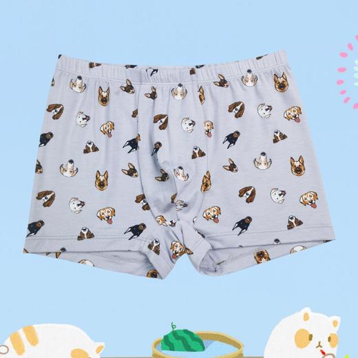 SCHIESSER德国舒雅童装男童莫代尔平角裤3B/23296T 商品图5