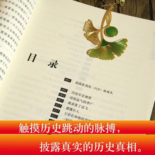 历史不忍细看:黄文山读史 商品图4