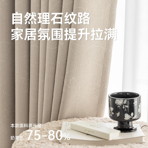 【沁园春月】金蝉轻奢柔滑高精密窗帘 商品图4