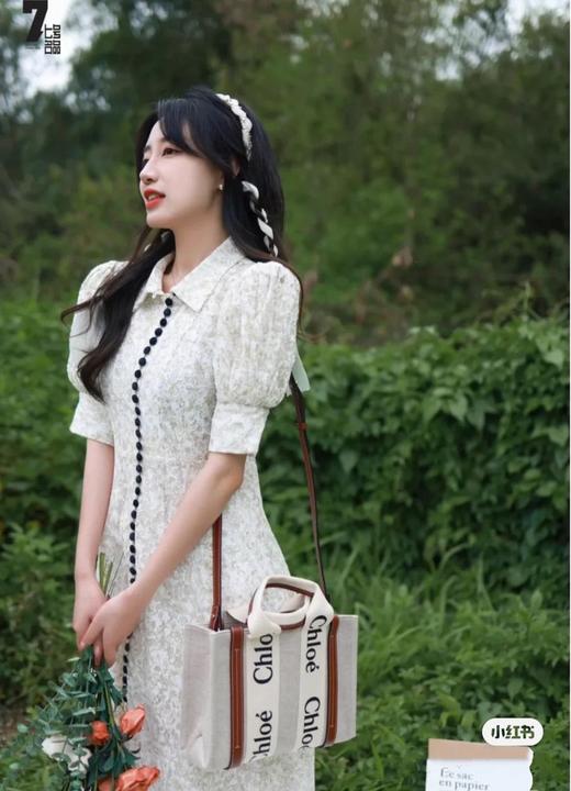 Chloe22*托特包熊猫色中号、小号两个尺寸（CB） 商品图11