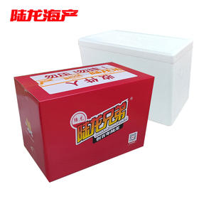 999050陆龙兄弟 一站式泡沫箱+外箱