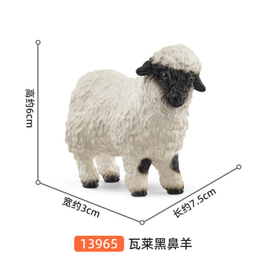 思乐 瓦莱黑鼻羊SCHC13965 商品图1