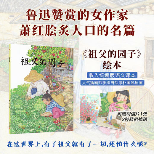 名家经典绘本 全3册 祖父的园子 蓝色的小伞 我的老师 商品图0